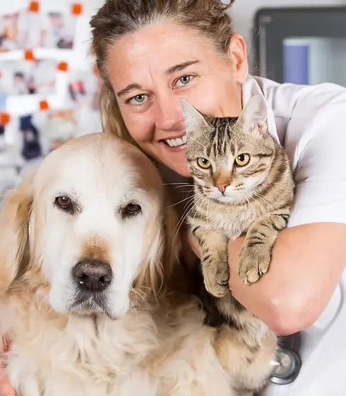 Traslado de mascotas